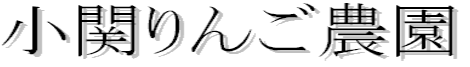 �^�C�g��